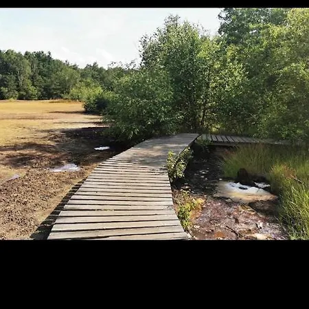 Guest house U Modreho Slona