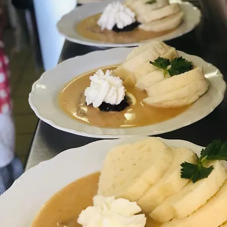 U Modreho Slona Guest house 3*