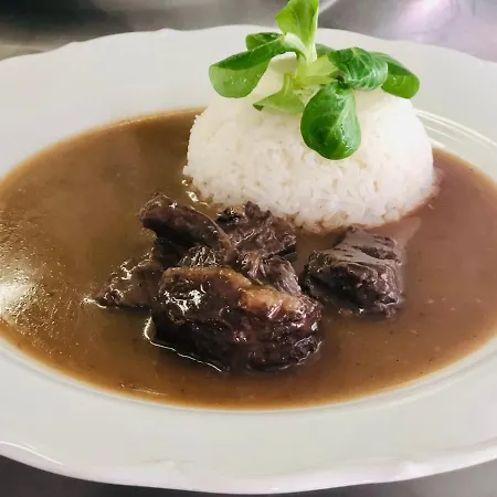 U Modreho Slona Guest house 3*