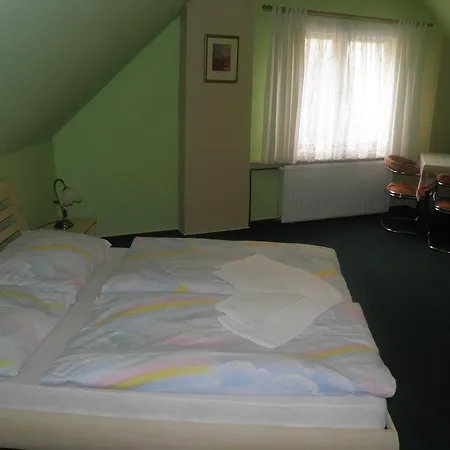 U Modreho Slona 3* Frantiskovy Lazne