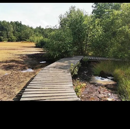 Guest house U Modreho Slona