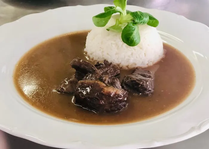 U Modreho Slona Guest house 3*