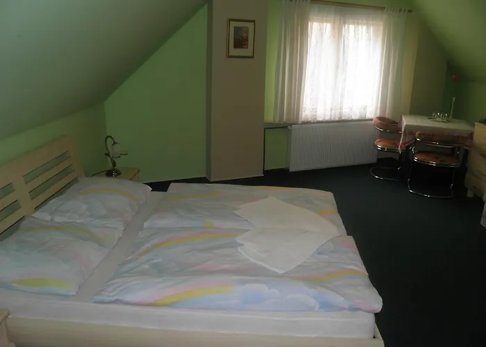 U Modreho Slona 3* Frantiskovy Lazne