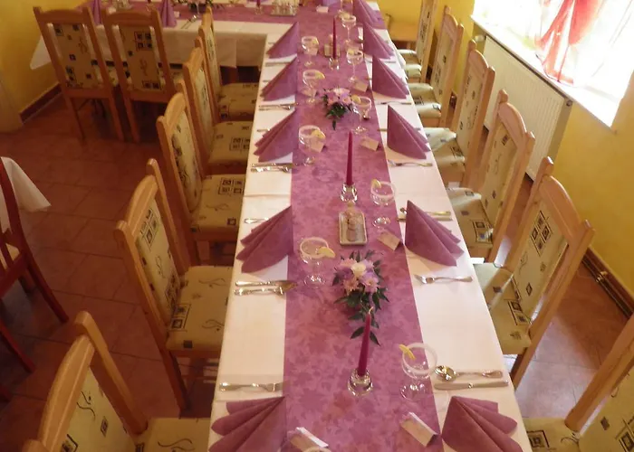 U Modreho Slona Gasthof