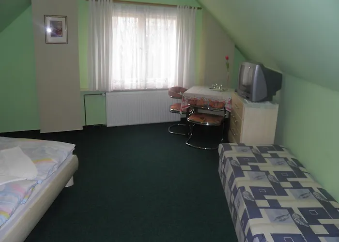 Guest house U Modreho Slona 3*